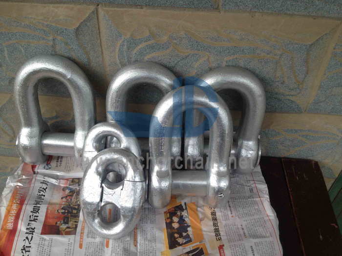 Anchor Shackle