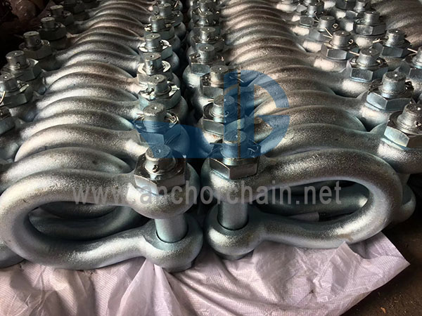 Bolt Type Safety Anchor Shackle G2130