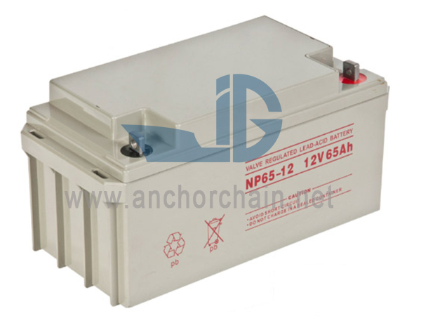 Marine diesel generator starter battery