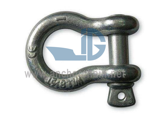 Screw Pin Anchor Shackles G209